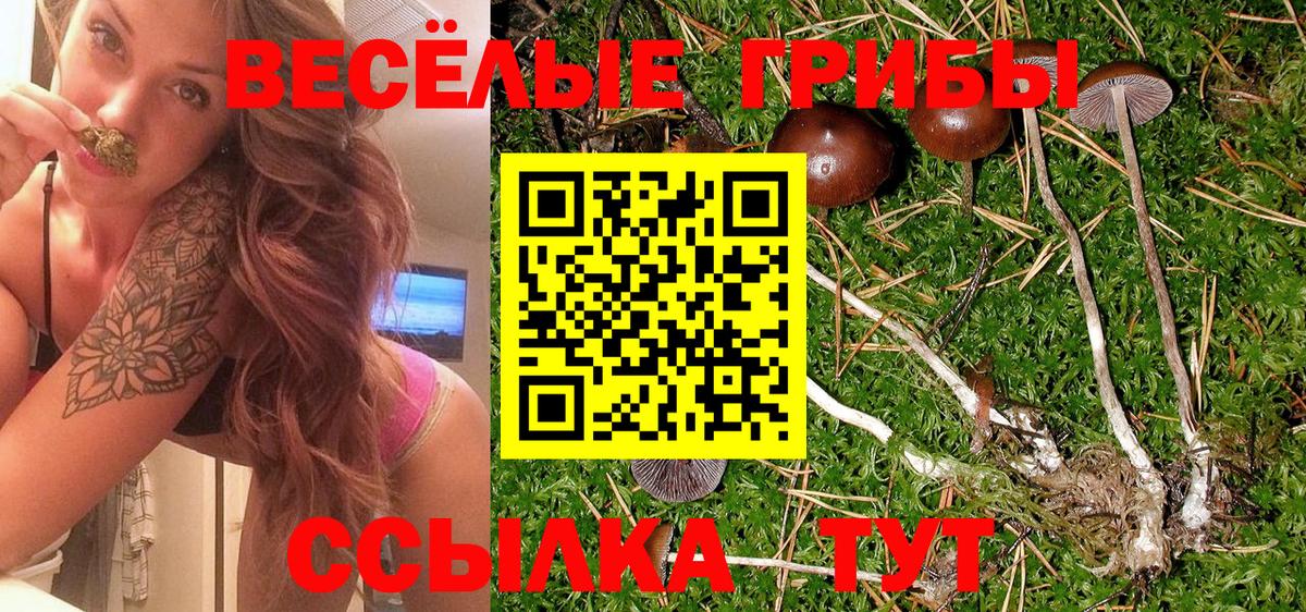 Псилоцибиновые грибы Magic Shrooms Саяногорск