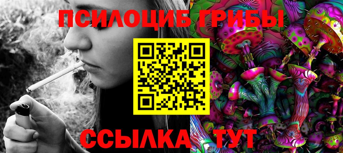Галлюциногенные грибы Magic Shrooms  Вход с VPN  Саяногорск  Псилоцибиновые грибы Psilocybe 