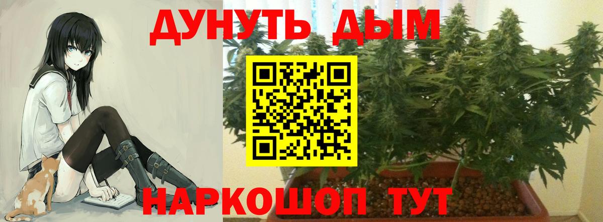 Каннабис гибрид  Конопля White Widow  Марихуана семена  Саяногорск  Вход с VPN 